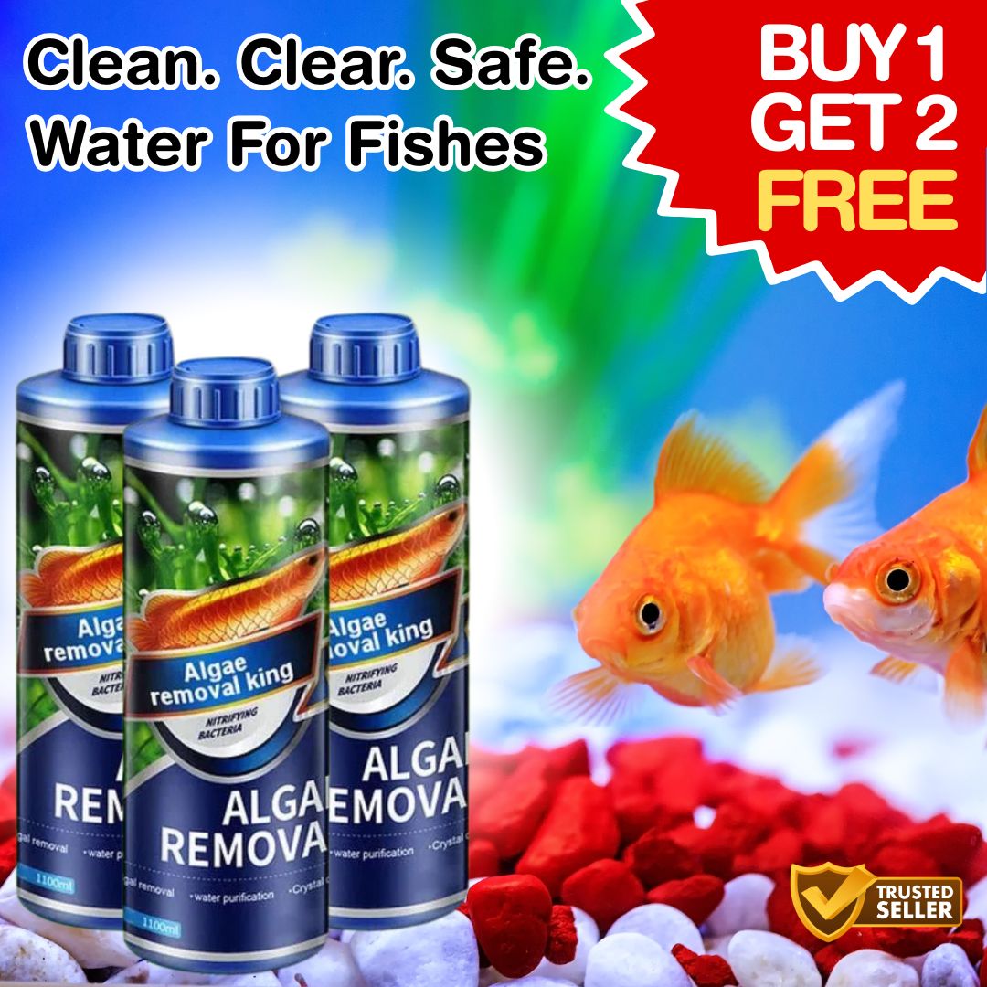 Fish Tank Algae Removal Liquid (BUY 1 GET 2 FREE)