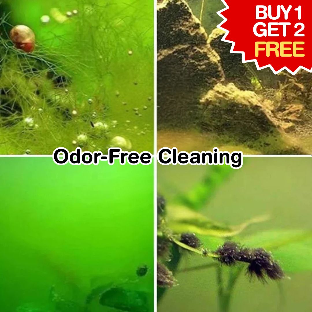 Fish Tank Algae Removal Liquid (BUY 1 GET 2 FREE)