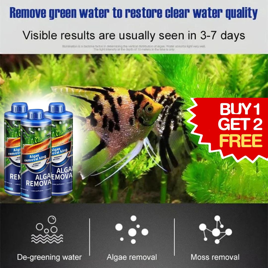 Fish Tank Algae Removal Liquid (BUY 1 GET 2 FREE)