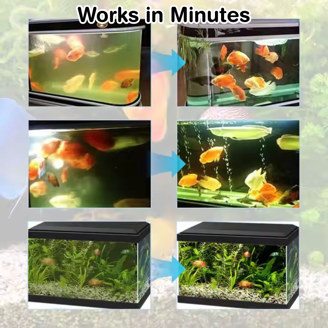 Fish Tank Algae Removal Liquid (BUY 1 GET 2 FREE)