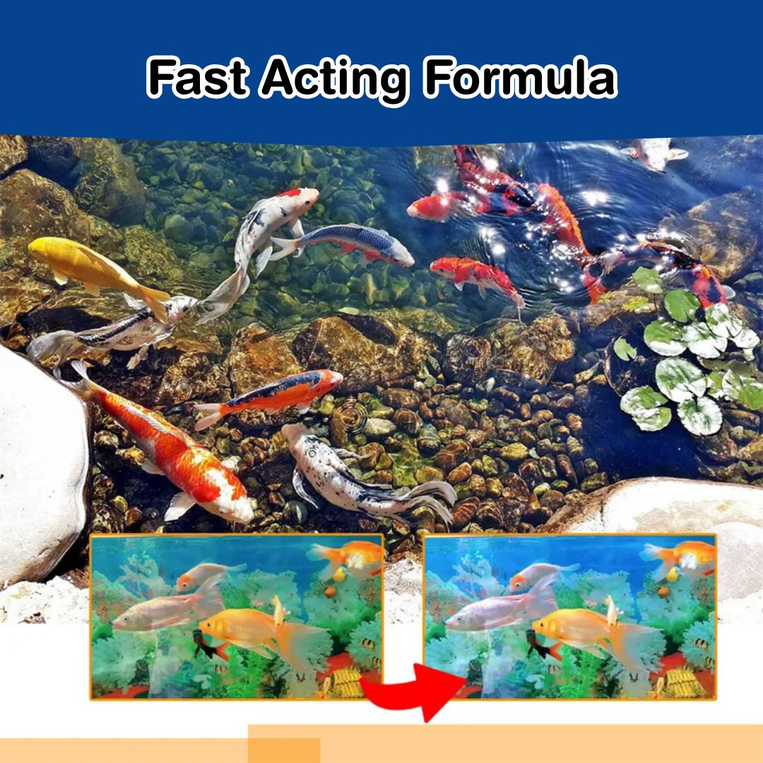 Fish Tank Algae Removal Liquid (BUY 1 GET 2 FREE)