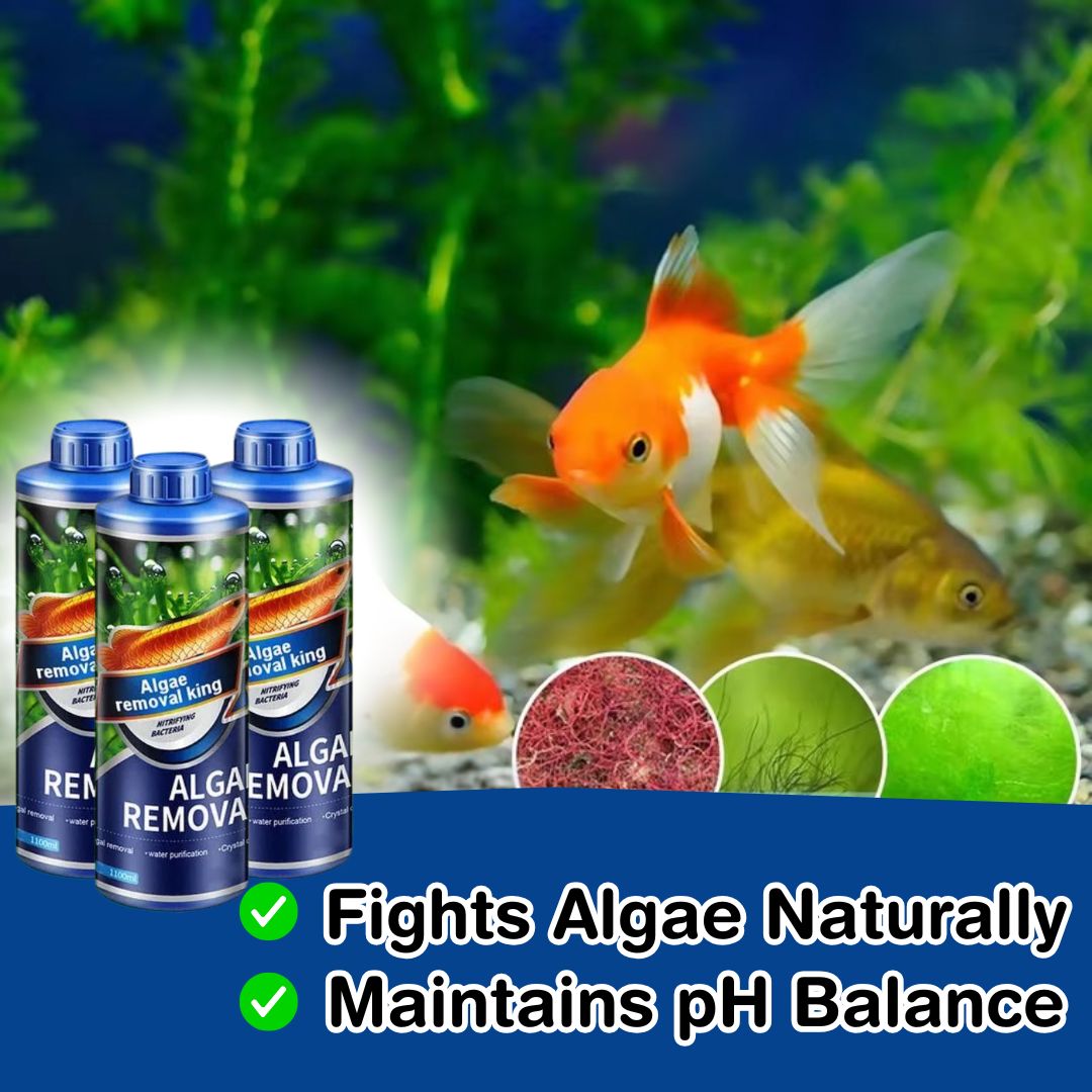 Fish Tank Algae Removal Liquid (BUY 1 GET 2 FREE)