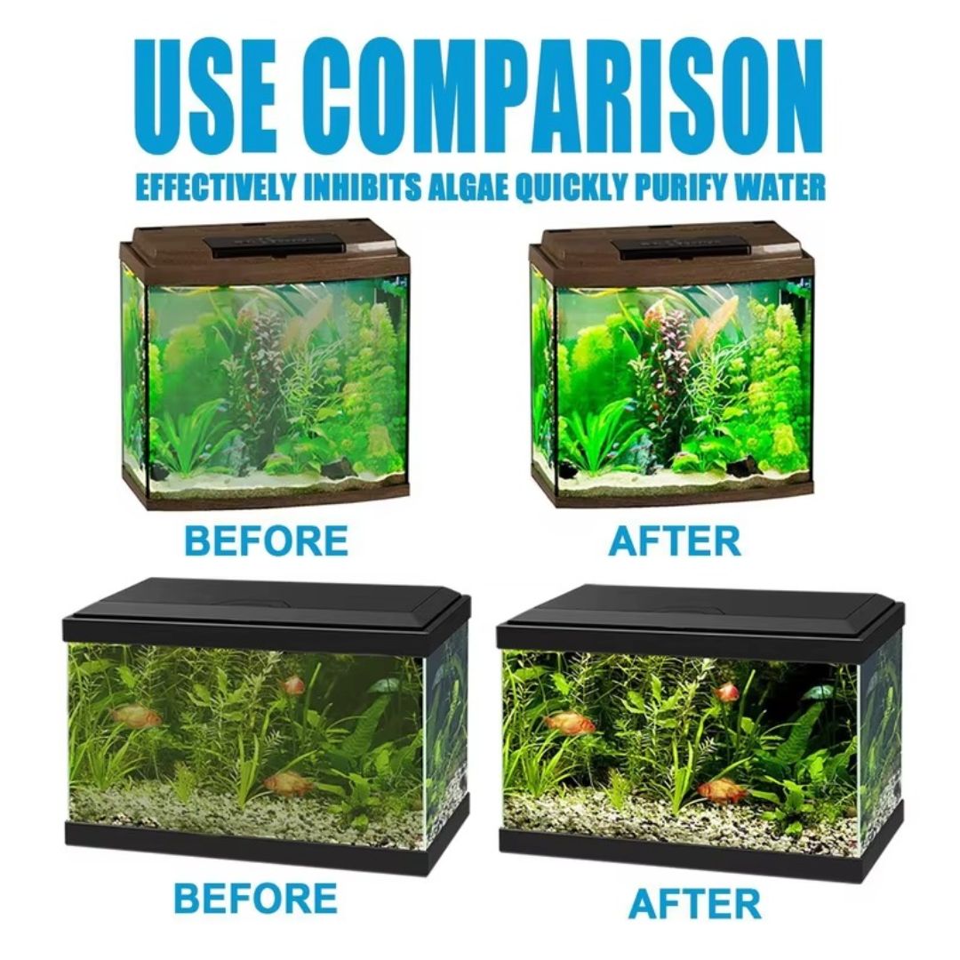 Fish Tank Algae Removal Liquid (BUY 1 GET 2 FREE)