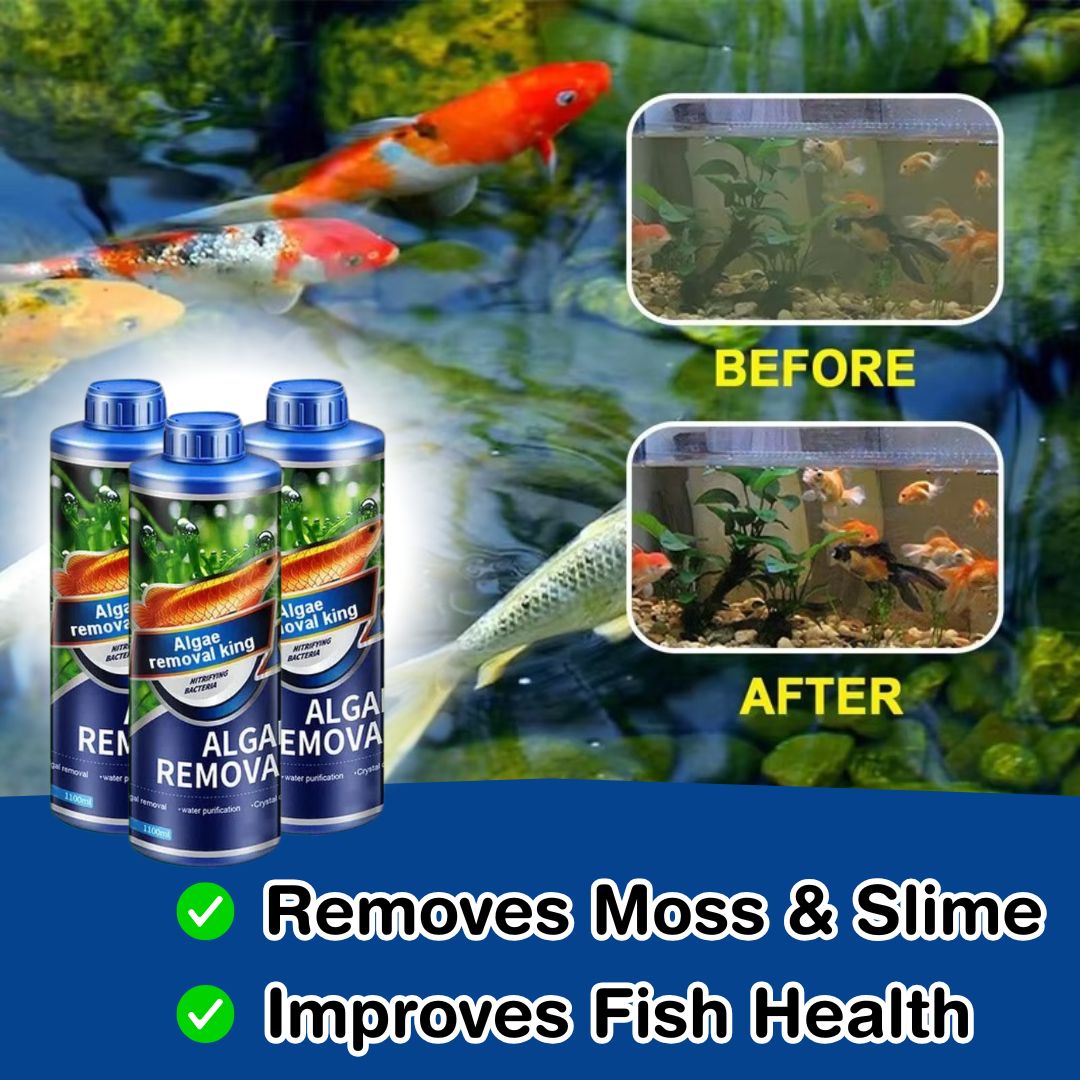 Fish Tank Algae Removal Liquid (BUY 1 GET 2 FREE)